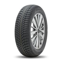 Roadstone Winguard SnowG WH2 225/70R16 103H